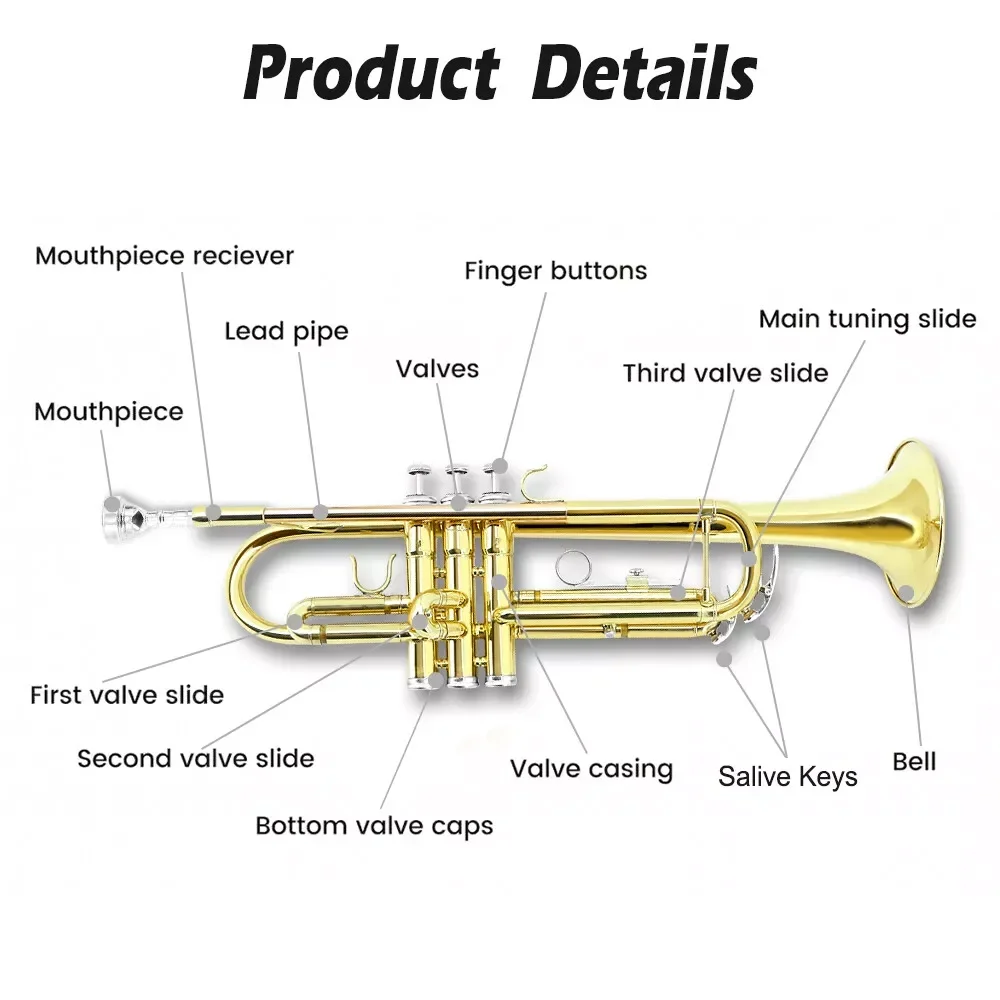 Yinfenteyinfente Golden Bb Standard Trumpet With Case 7C Mouthpiece And Cleaning Kit Nice Tone Black Case