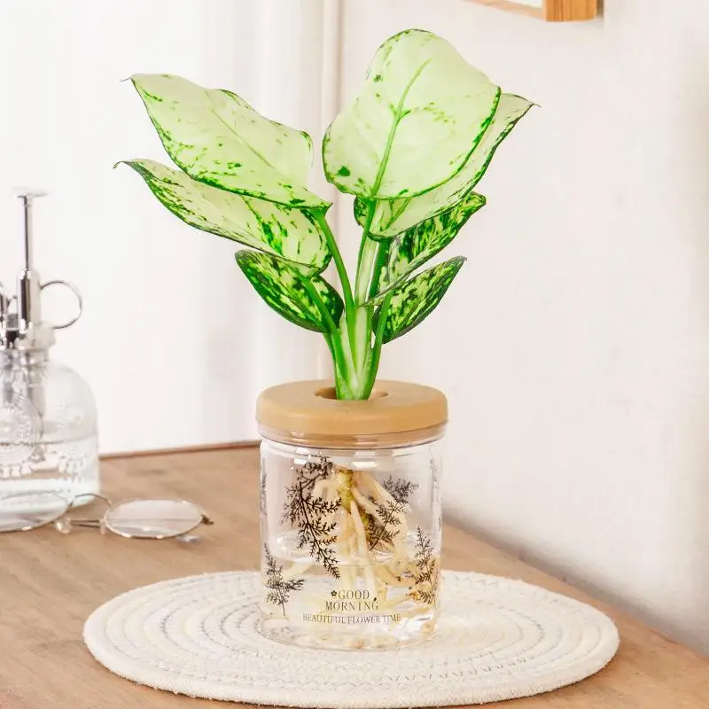 Clear Hydroponic Pot Water Planting Vase Stylish Propagation Pot Container Aquaponic Planter Decor