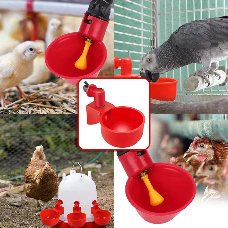 

6pcs Chicken Drinking Cup Automatic Drinker Chicken Feeder Plastic Poultry Drinking Water Feeder for Chicks Duck Goose Quail