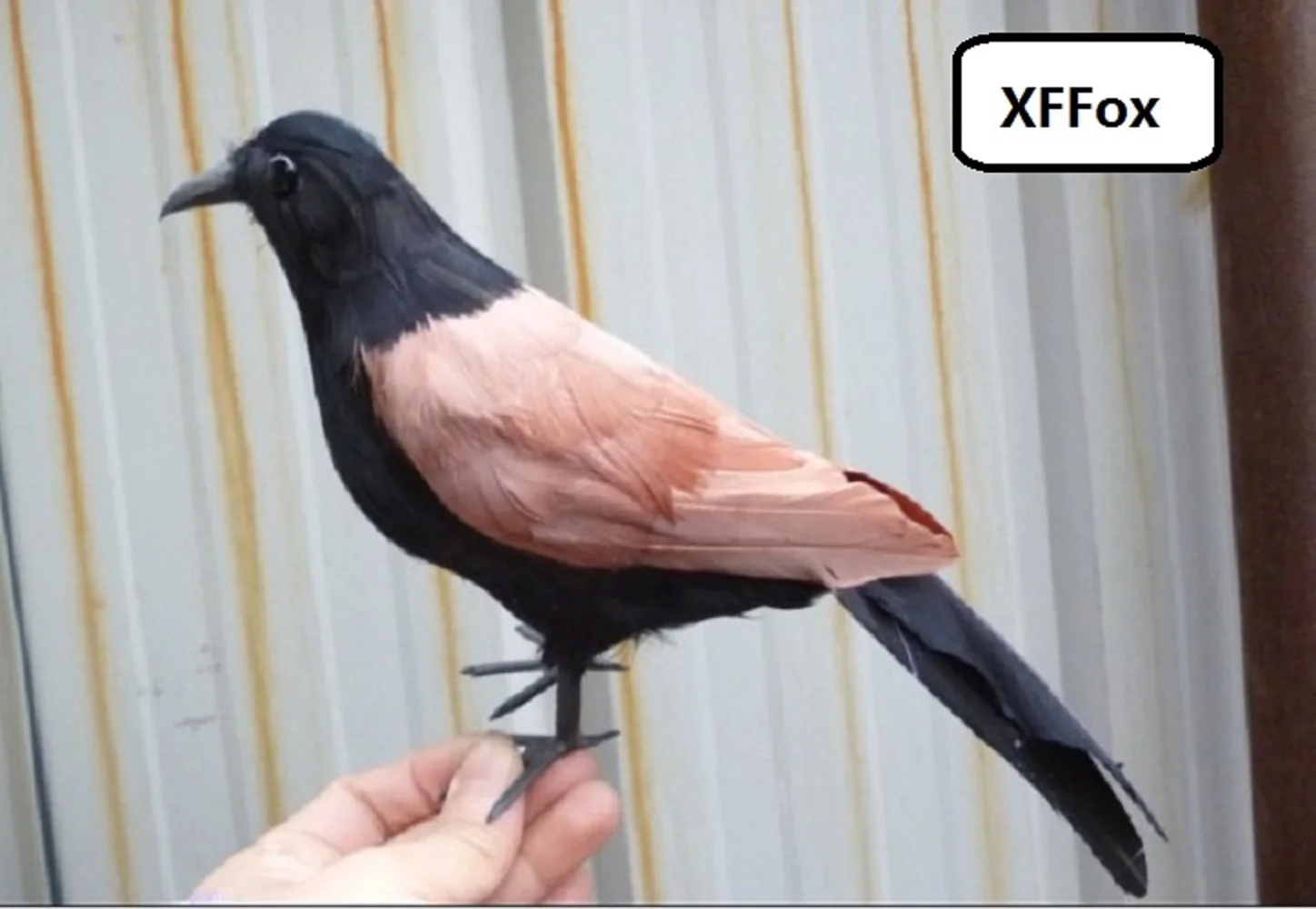 

new real life turtledove model foam&feather simulation black&brown bird gift about 30cm xf0831