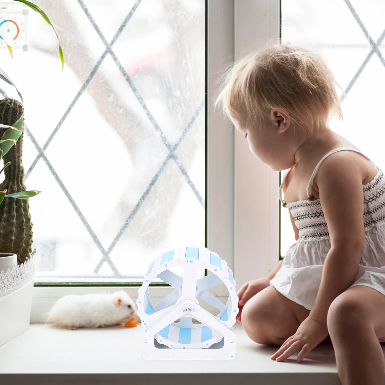 

Household Hamster Wheel with Stable Base Large Capacity for Syrian Hamster Gerbil Chinchilla Rat Running Plaything Quiet Night