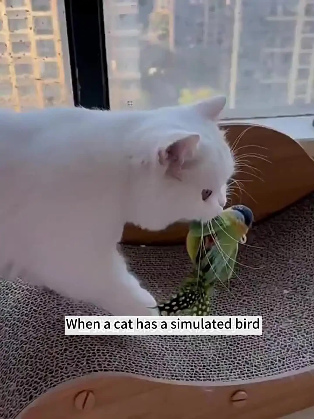 鳴き鳥シミュレーション猫のおもちゃ、セルフエンターテイメント、噛みつき防止、ぶら下がり羽根猫ダンサー、猫用ペットぬいぐるみ