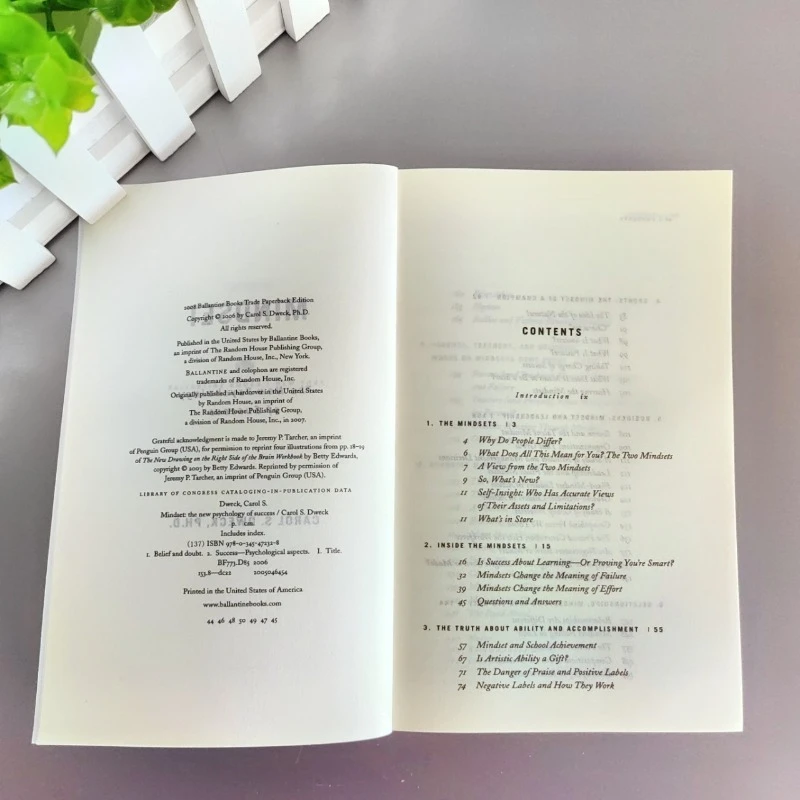 Mindset : la nouvelle psychologie du succès de Carol S.Dweck-Growth Mindset livre anglais pour l'auto-aide, le développement personnel et les affaires