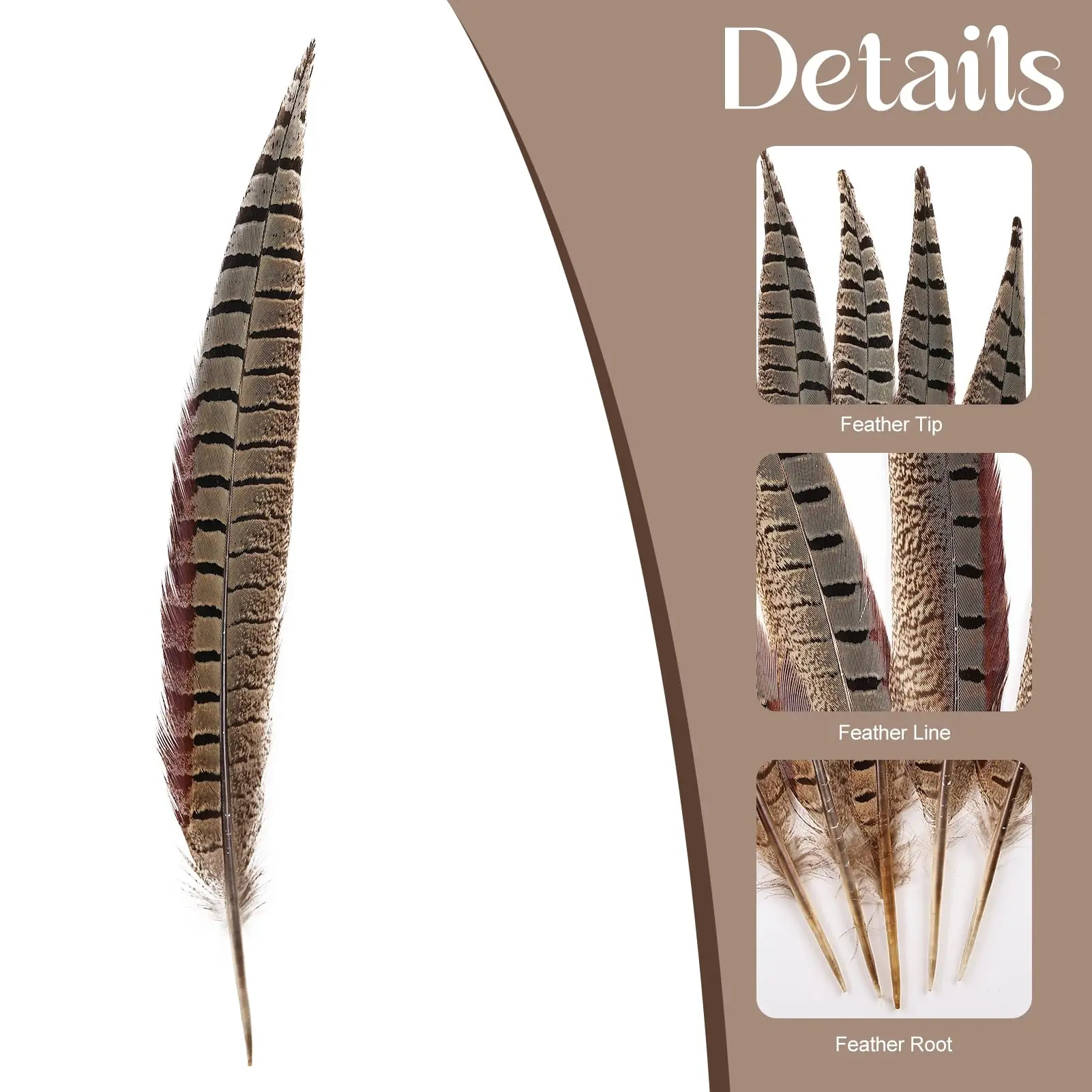 5 قطعة ريشة الدراج الطبيعية الذكور Ringneck الذيل الريش DIY بها بنفسك الحرف المنزل حفل زفاف كرنفال الديكور