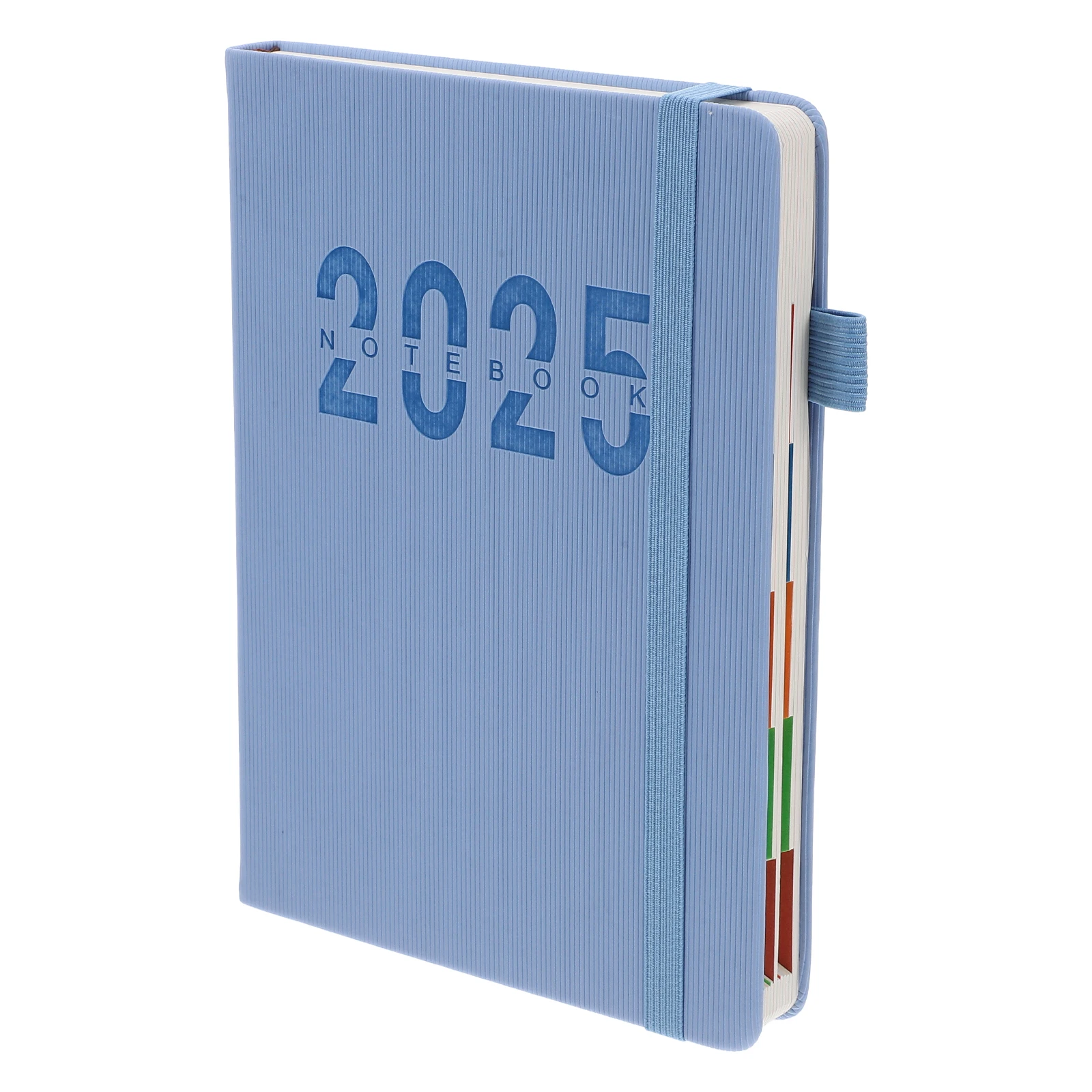 

Daily Planner 2025 Pu Hardcover Calendar Agenda Book Pen Loop Elastic Closure Ink Resistant Paper Monthly Tabs Undated