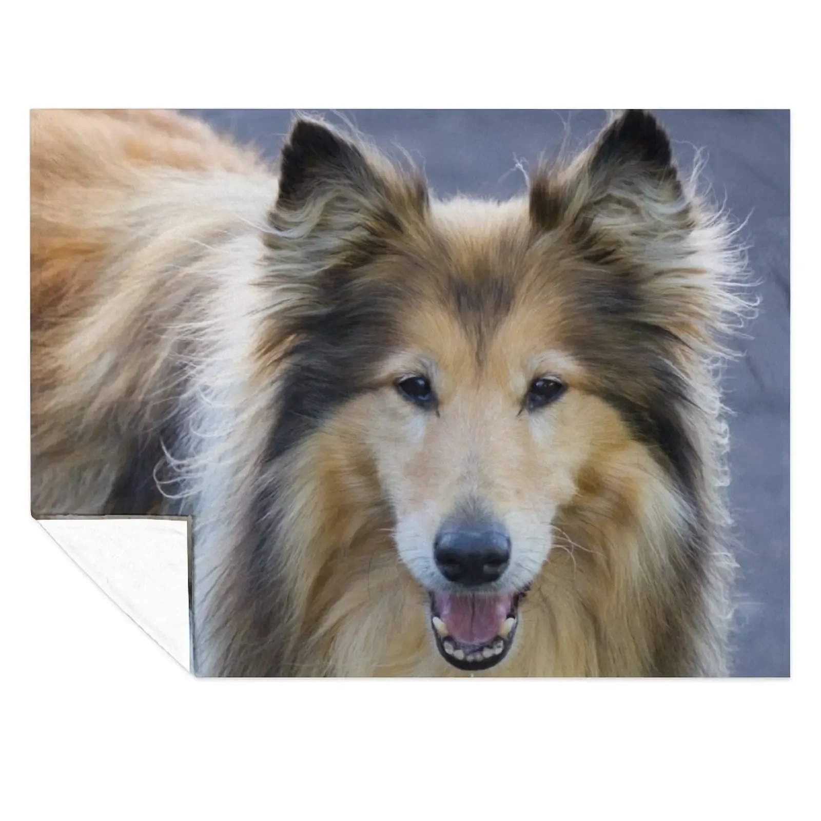 

Happy Collie Throw Blanket Sofas Luxury Thicken Thin Travel Blankets