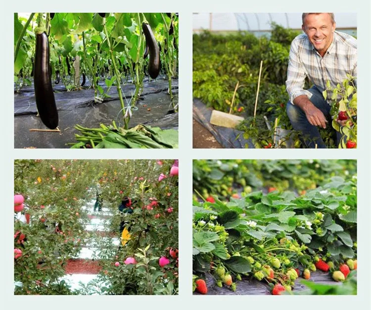 202510kg 농업용 멀칭 필름 검정색 비닐 지표 덮개 냉각 및 해충 방제 농업용 멀칭 필름