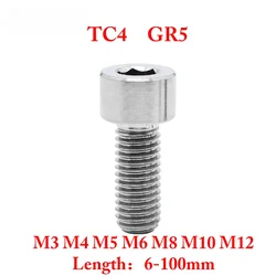 M3 M4 M5 M6 M8 M10 M12 X 6-100mm TC4 GR5 Titanium Alloy Screws Cap Cup Head Hex Allen Bolt Screw Bicycle Motorcycle
