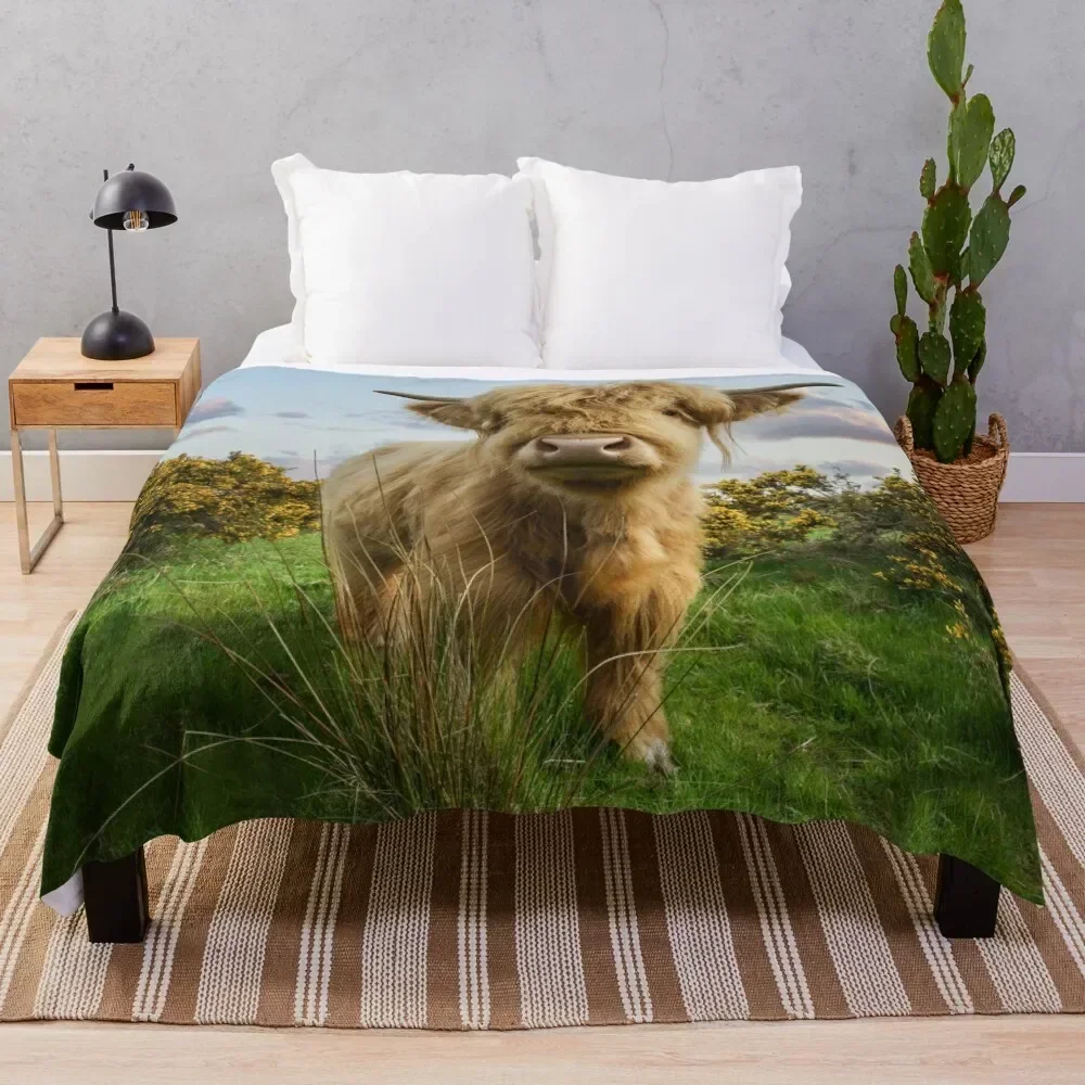 

Young Highland Cow Throw Blanket blankets ands Polar Thermal Tourist Blankets