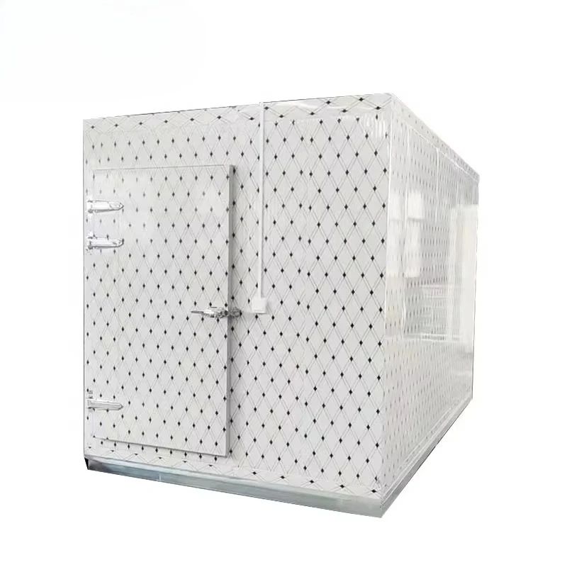 Container refrigerator Seafood refrigerator