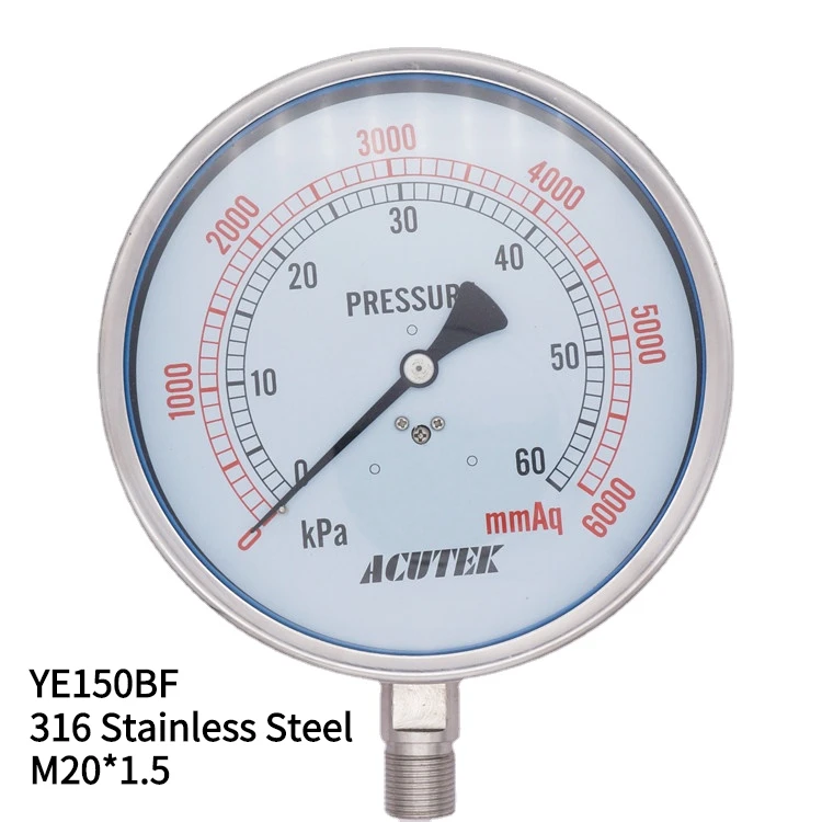 YE150BF -40-60 Kpa M20*1.5 316 Stainless Steel Capsule Pressure Gauge Ammonia Micro Manometer Steam Meter