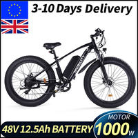 B26 26 Inch Electric Bike 48V12.5Ah Removeable Lithium Battery 1000W Brushless Rear Hub Motor 4.0 Fat Tire Double Disc Brake