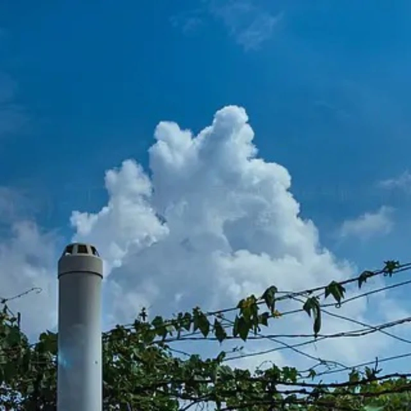 

T-HOBBYT-motor At5220 AT5220-B Kv220 Kv380 20-25cc Outrun Ner Brushless Motor for Rc Rigid Wing Drone Airplane Multi Copter