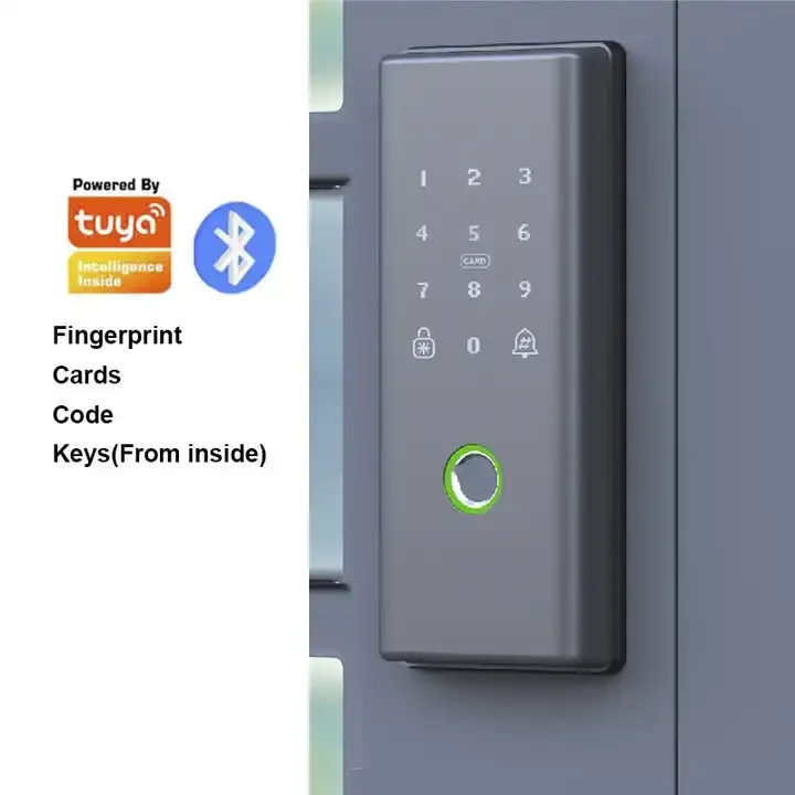 Smart Electronic Door Locks Double Side Sliding Glass Door Lock Smart Fingerprint Door Lock