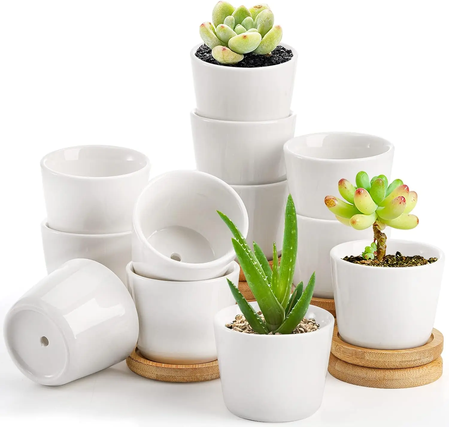 

12 Pack 2.5 Inch Small Succulent Pots with 12 Bamboo Trays, Round White Ceramic Mini Plant Pots, Tiny Succulent Planters