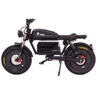 Electric Bicycles for Adults CE  Electric Dirt Bike High Power 60V 45Ah Fatbike High-power Electric Bikes Ebike for Sale