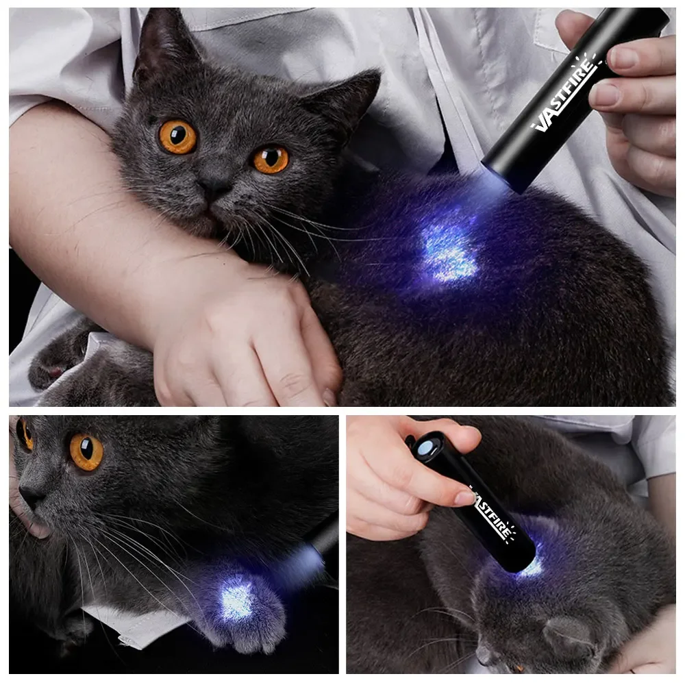 Mini UV LED Flashlight Portable Ultraviolet Black Light for Cat Dog Bed Bug Moldy Food USB Rechargeable Pet Urine Detector Lamp