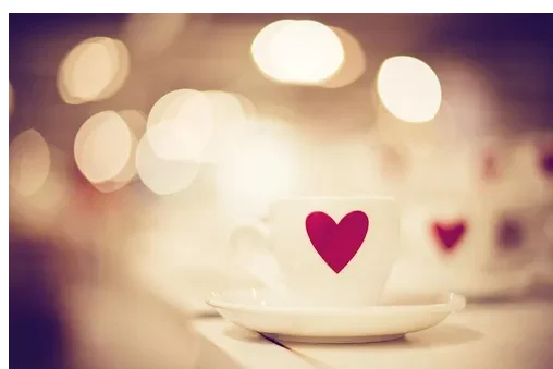 غطاء حماية هيكل المحرك حامي المنغنيز الصلب البلاستيك الملحقات حامي الحاجز ل TRUMPCHI GS5 2015-2024 2018 2019 #1