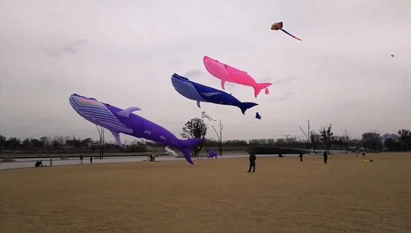 17 メートルサメ凧飛行クジラ凧楽しいスポーツ超大型凧プロフェッショナル凧インフレータブルおもちゃ屋外おもちゃ大人の凧