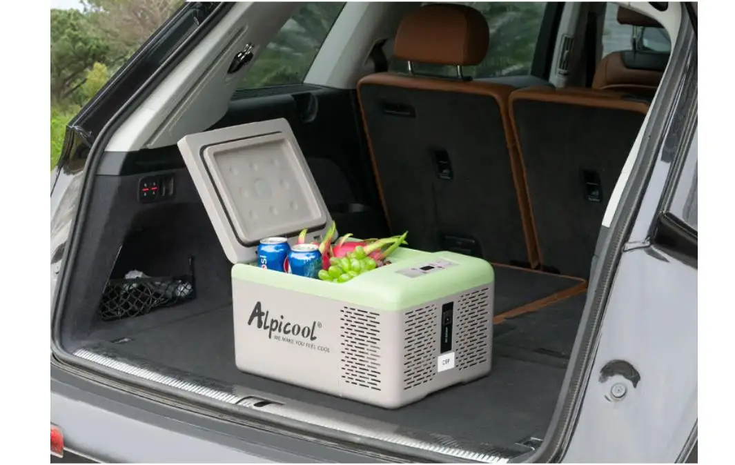 Portable C9 Alpicool compressor car home 2use 9L household small refrigerator travel outdoor mini car refrigerator fast freezing