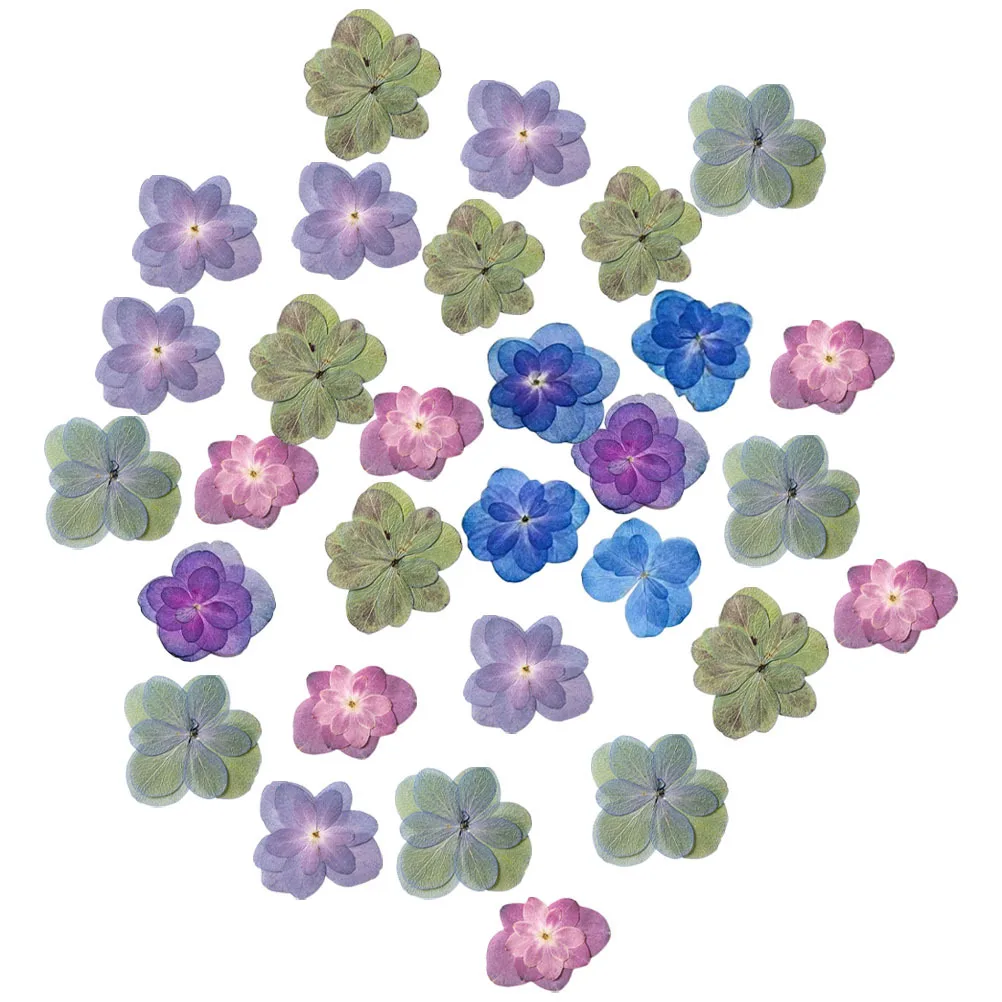 30 peças flores secas prensadas em relevo real para artesanato de resina diy fazendo scrapbooking material floral natural multicolorido