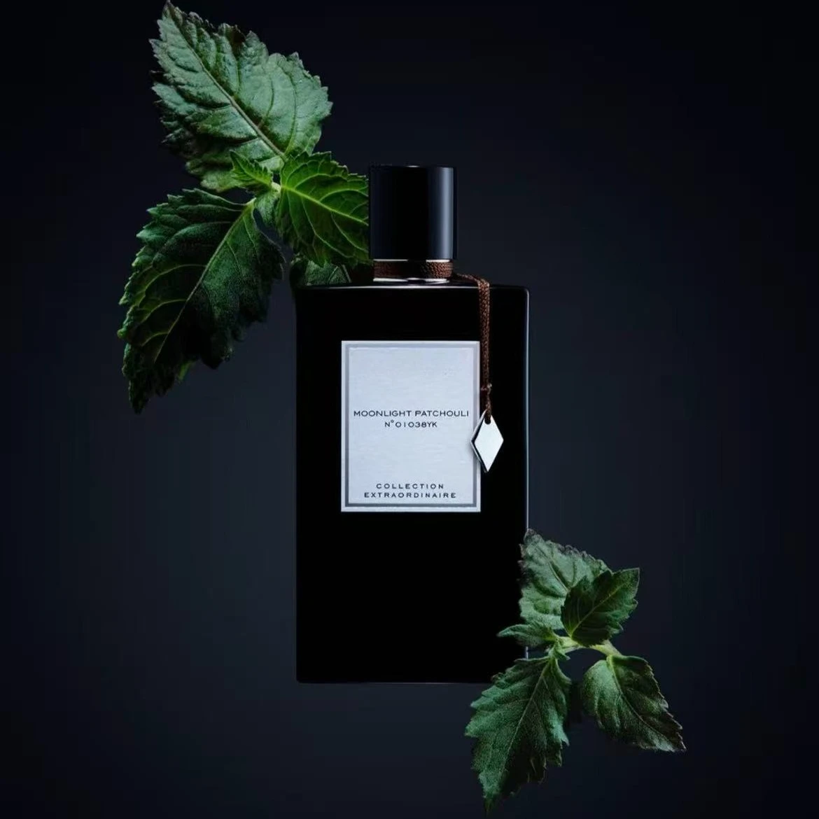 75ml High-end Luxury Perfume with long-lasting fragrance featuring a hint of sweetness exuding unique charm in social settings