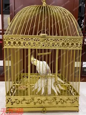 Bird Cage Pigeon Bird Cage Square Big Brother Parrot Thrush Eyebrow Tiger Skin Big Brother Turtledove White Eye Xuan Feng