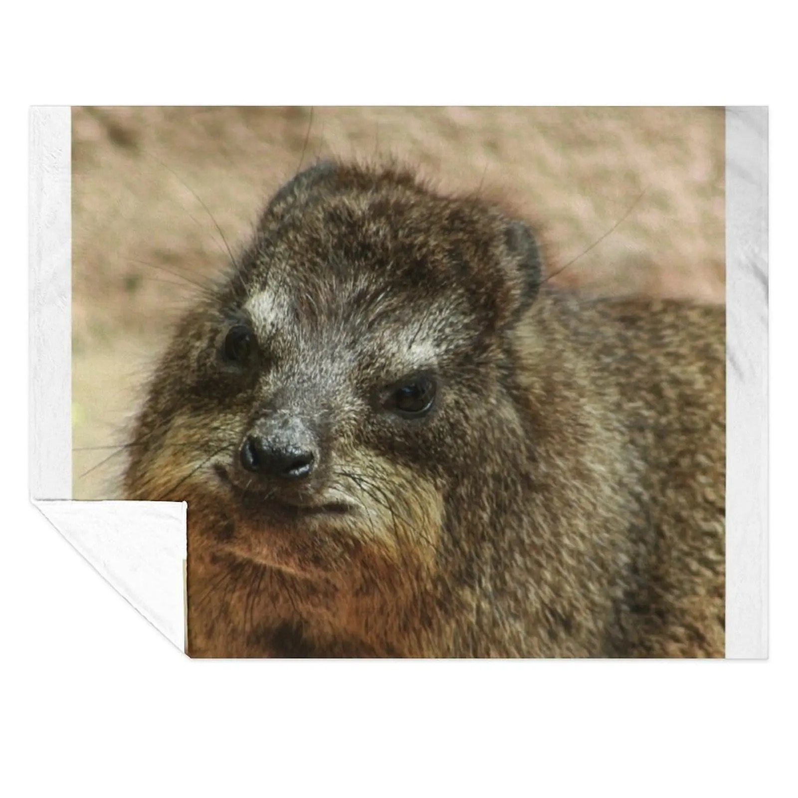 

Close up of rock hyrax Throw Blanket Warm Decorative Sofas Hairys funny gift Blankets