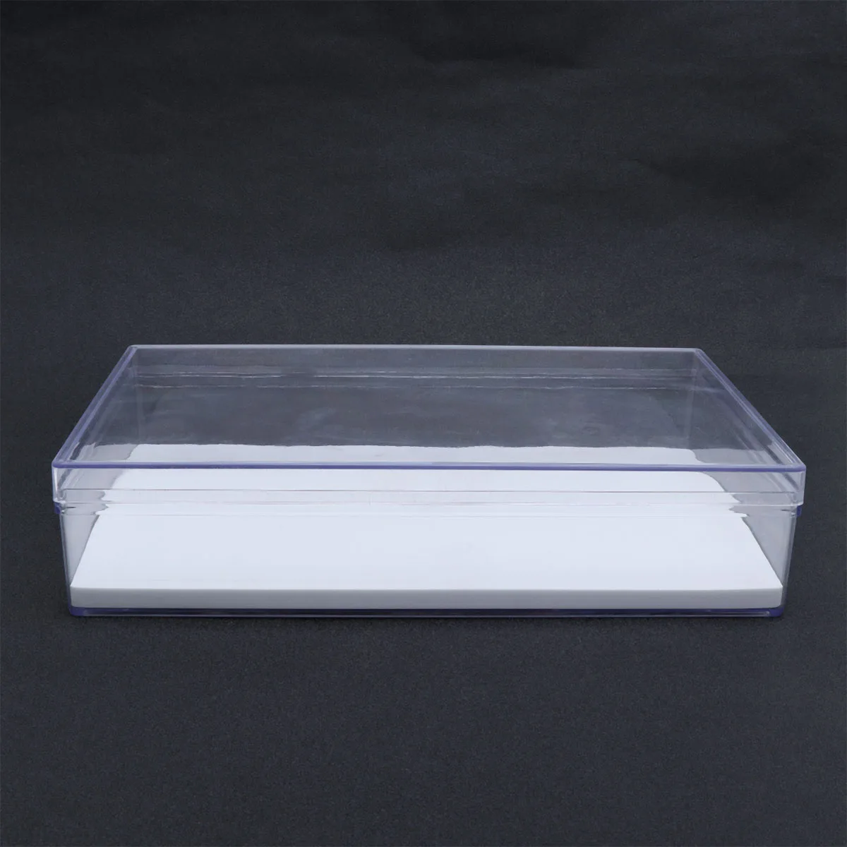 

Case Insect Specimen Box Display Clear for Collectibles Showcase Bug Collection