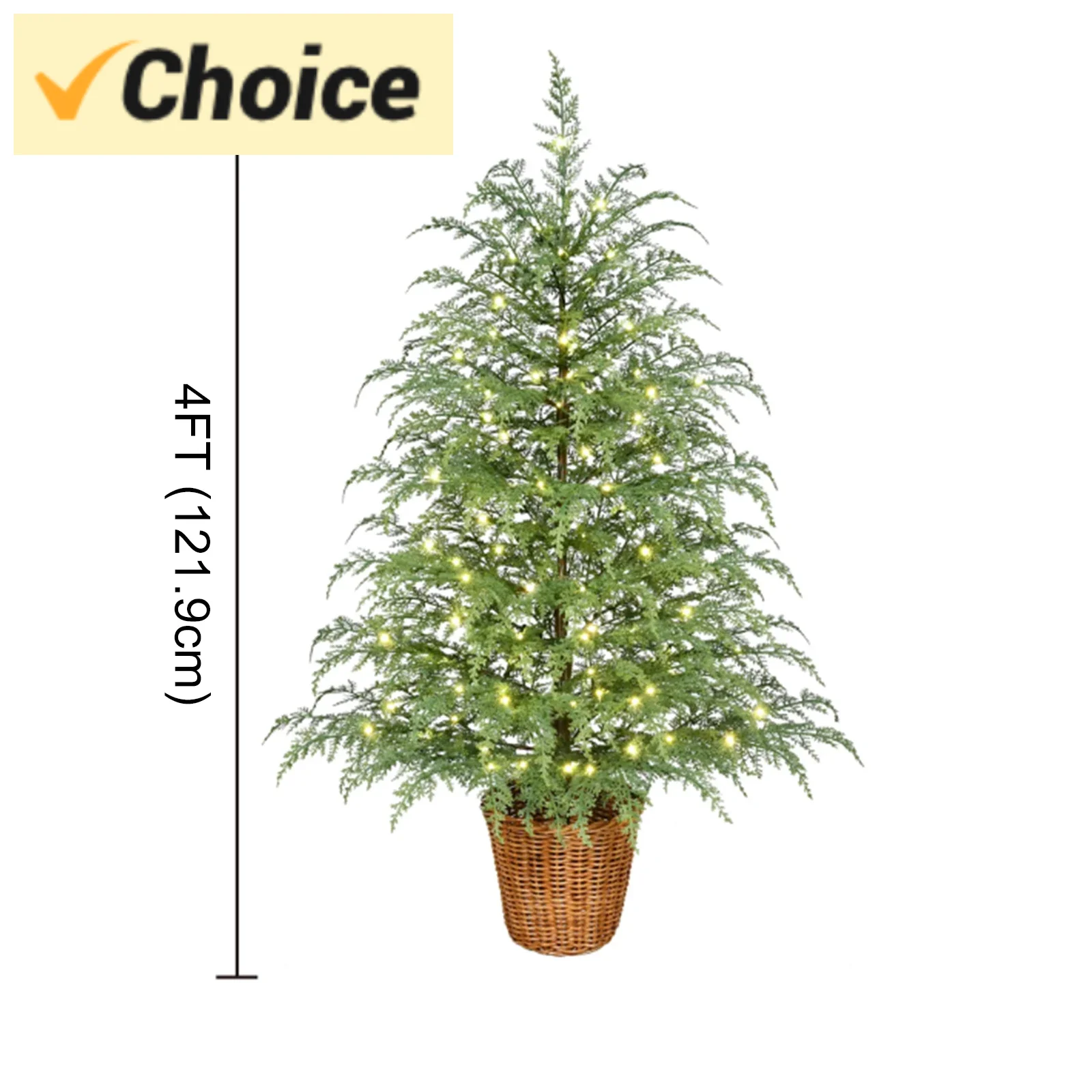 4Ft Norfolk Pine Ch… - image