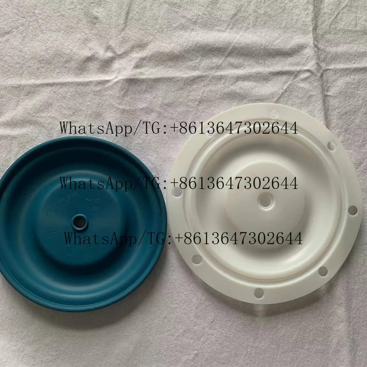BSK Shanghai Moulding Santoprene 6239 PTFE Diaphragm for Air Operated Double Diaphragm Pump BS25