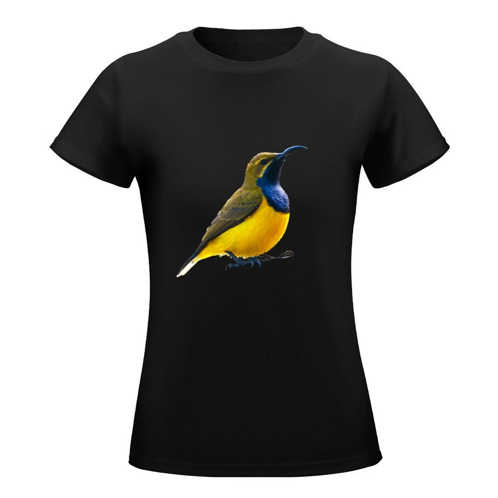 Australian birds - olive-backed sunbird T-Shirt korean fashion vintage tees quick drying T-shirts for Women