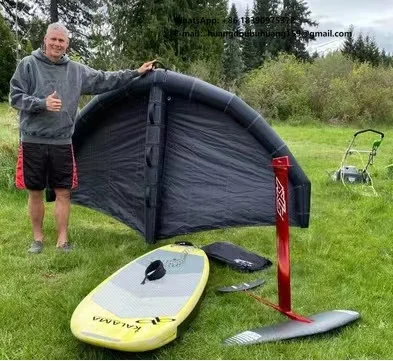 

Factory Price Inflatable Outdoor 3M 4M 5M 6M2 Kite Surfing Wing Custom Kite Boarding Clients Customized Stock