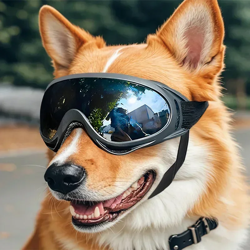 NONE Haustierbrille, verstellbar, UV-Schutz, winddicht, Sonnenbrille für Hunde, Outdoor, Wandern, Laufen, Strand, alle Rassen, Augenschutz, Schwarz