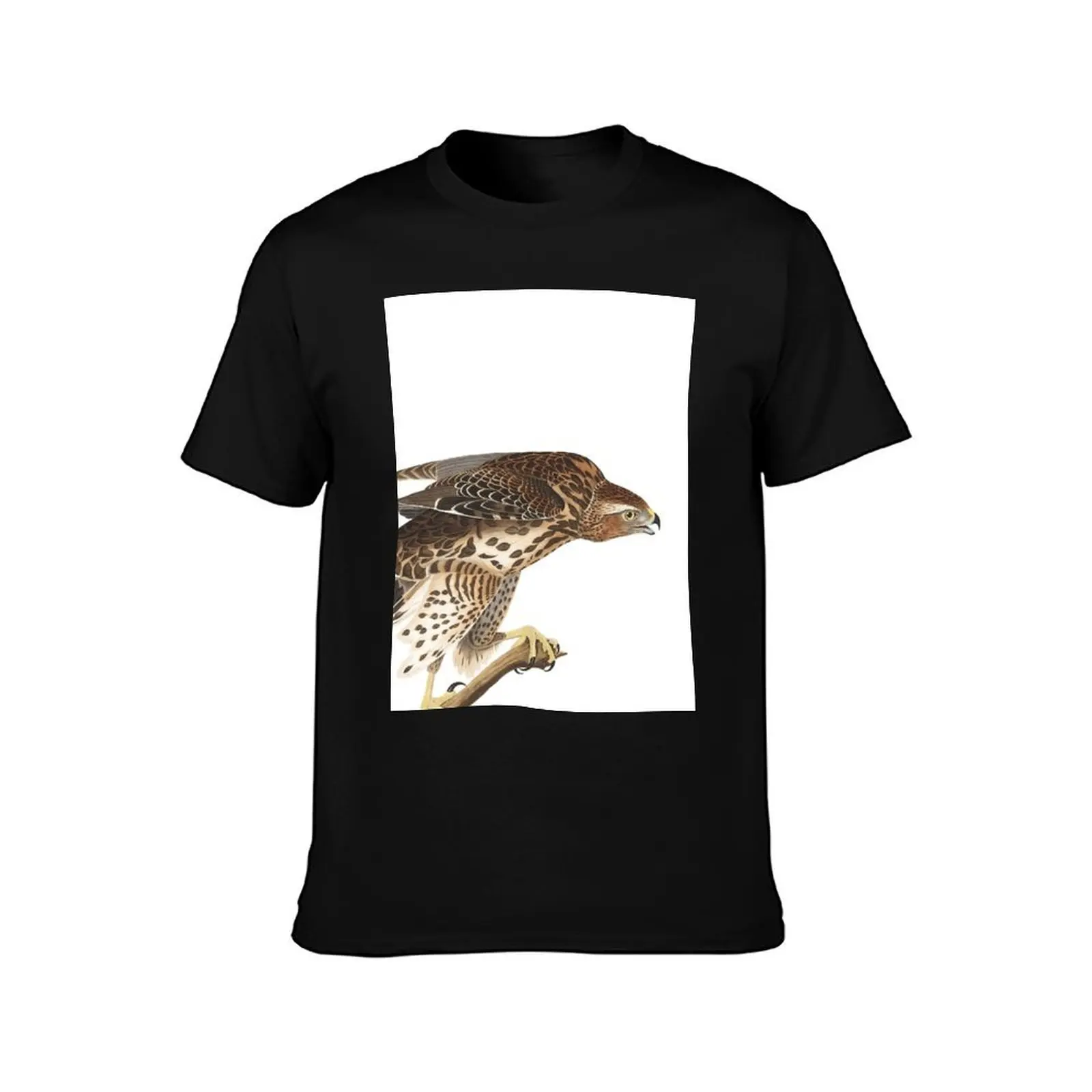 Northern Goshawk - John James Audubon T-Shirt Plus Size Outdoor Casual Top T-Shirt