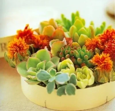 

Металлические передние и задние портальные мосты для радиоуправляемых краулеров 1/10 Axial-SCX10 III 90046 90047 (комплект для рамы)