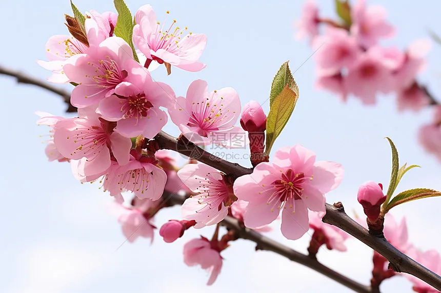 

Передняя и задняя портальная ось, наборы для самостоятельного изготовления 1/12 для MN82 LC79 MN78, закаленный металл из алюминиевого сплава, детали для обновления радиоуправляемого автомобиля