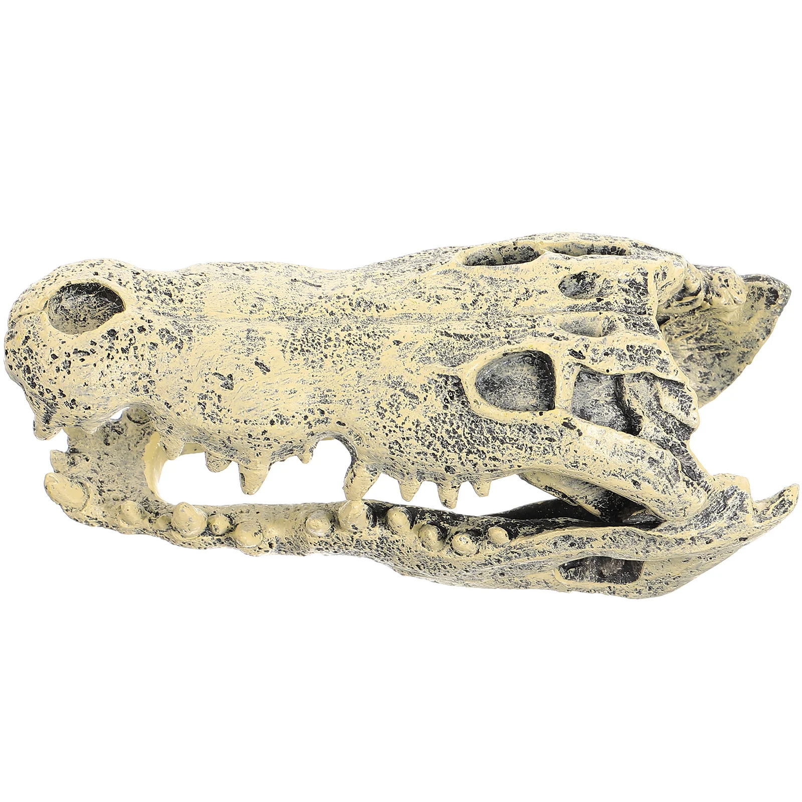 

1pcs Dinosaur Skull Creative Home Office Car Decor Desktop Ornament Desktop Decorations Small Landscape Statue Gift