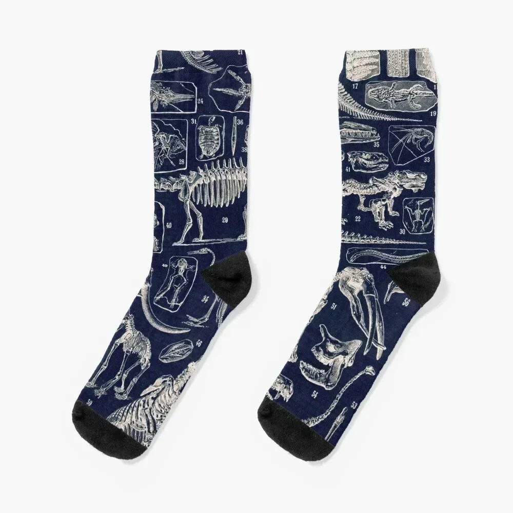 

Adolphe Millot - Paleontologie (paleontology)- vintage french poster Socks colored set Socks Ladies Men's