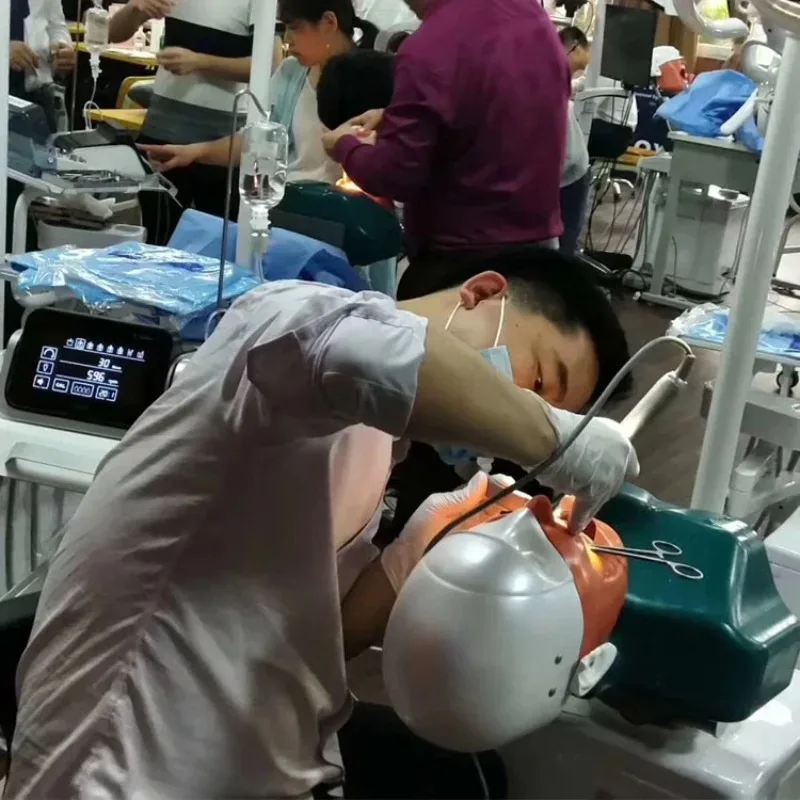 تصميم جديد نموذج دينتا معدات التدريس محاكي دينتا الطبي