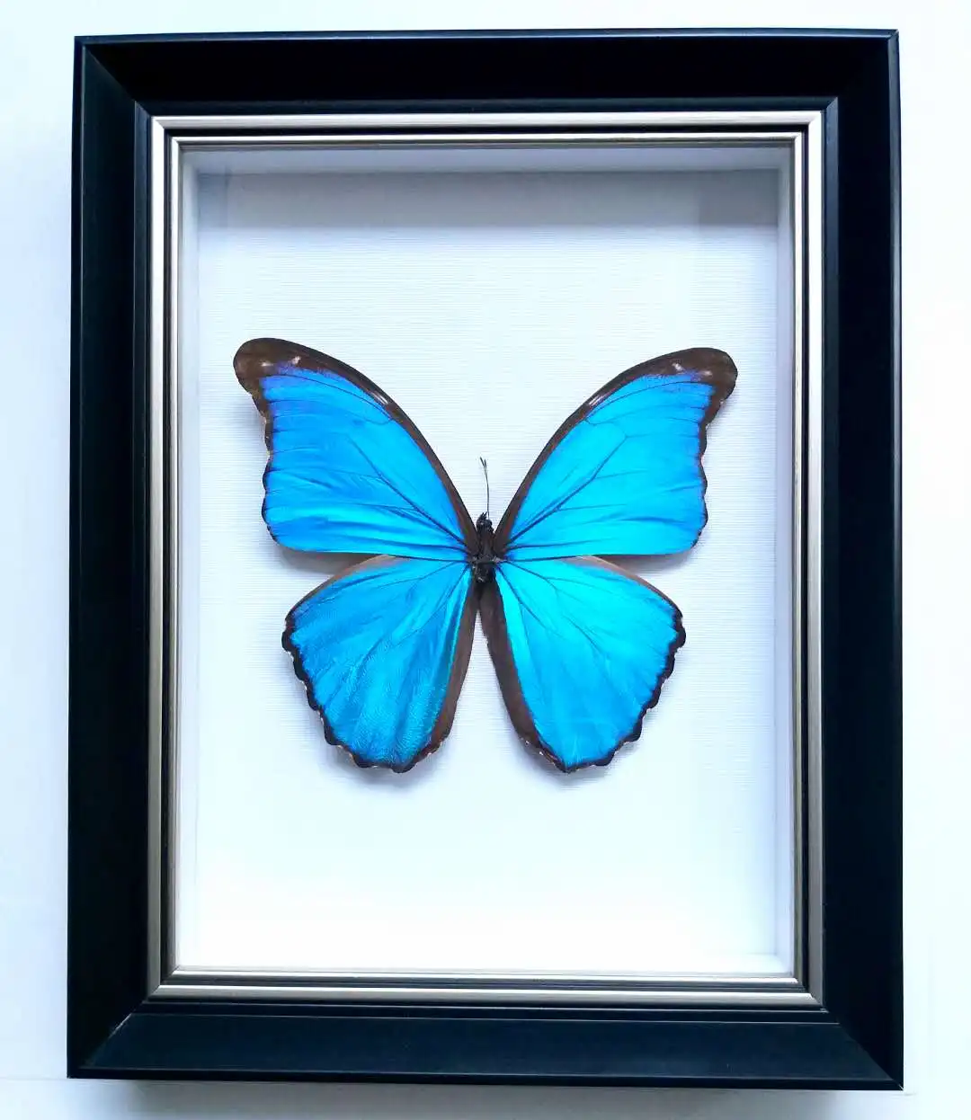 

Butterfly specimen real butterfly real specimen teaching home decoration wedding Valentine's day birthday gift home accessories