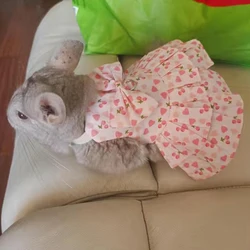 Sweet Floret Bunny Chinchilla Skirt Dress with Buckle Cute Small Animals Clothes for Pets Rabbit Guinea Pig conejos accesorios