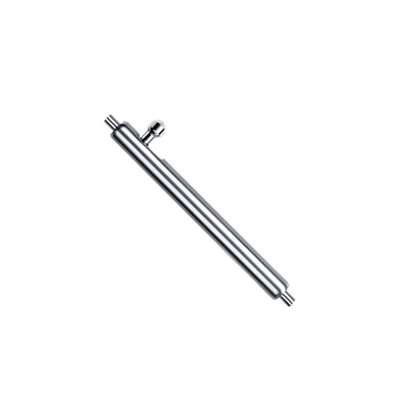 

15 шт. Смотрение ремешка часовой полосы пробирки Pins Watch Reporting Tool Accessories Accessories The Watch -полоса пробирки