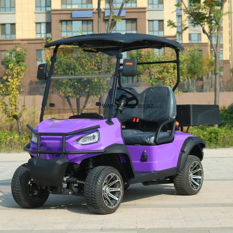 Beemotor New Mini Golf Cargo Truck Wheel Left Low Speed Electric Vans with Fast Automatic Gearbox