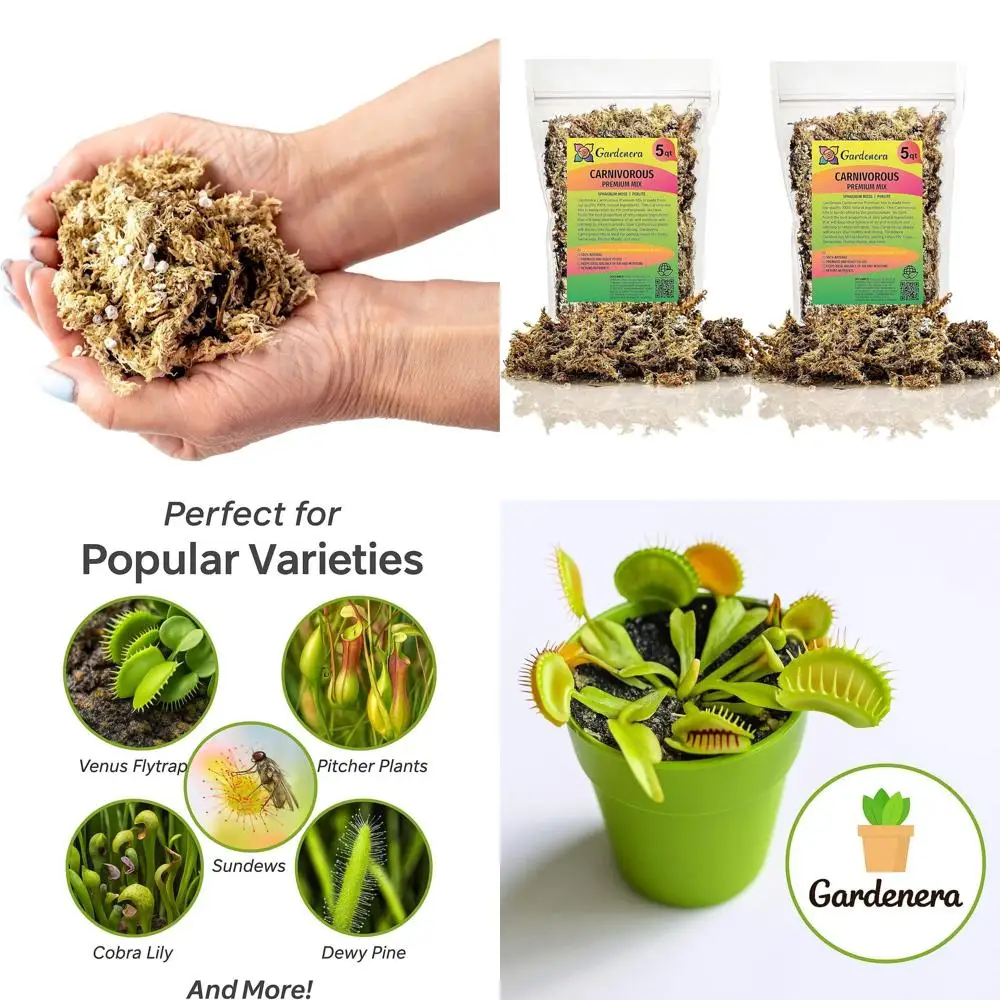 

Смесь сфагнума и перлита для хищных растений - 10-литровый субстрат для ловушек для насекомых, саррасений и растений-кружевниц.