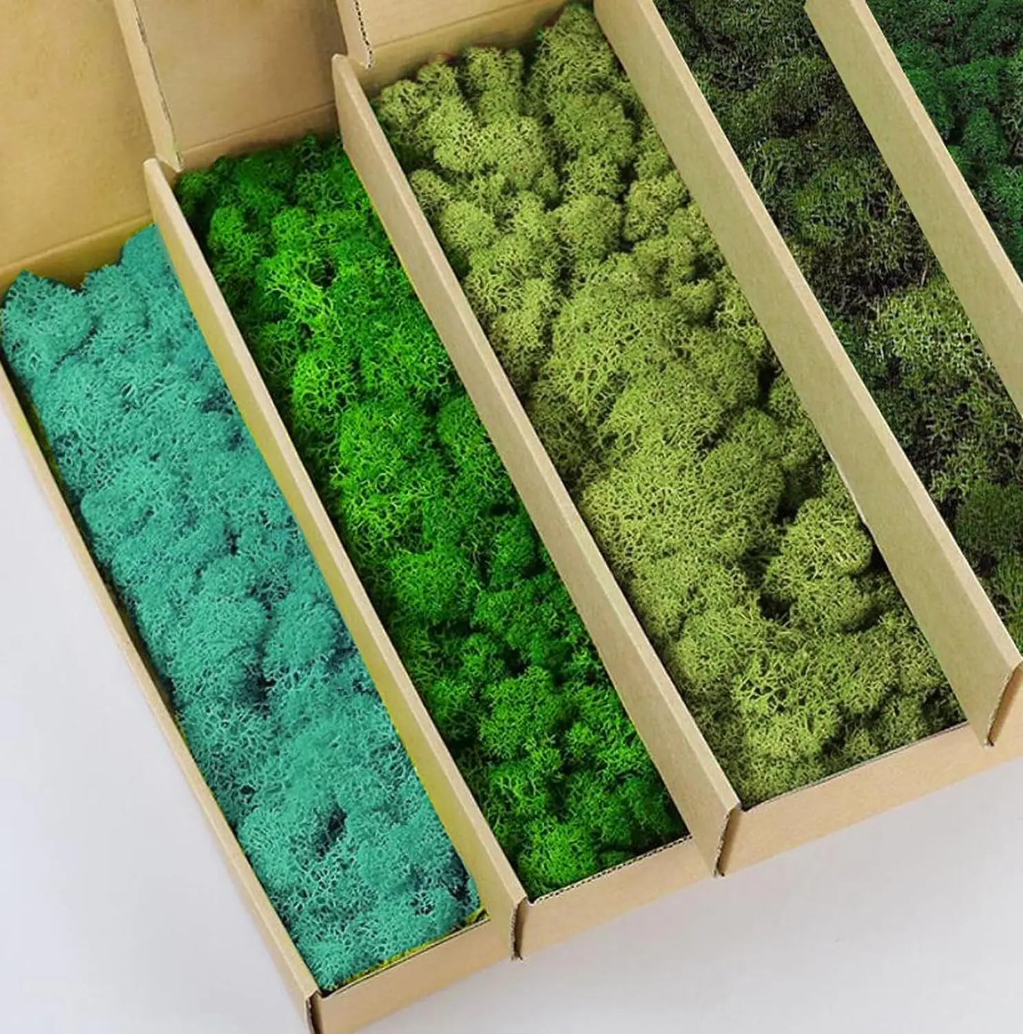 500g/1000g Mini Landscape Eternal Life Moss Plants Home Decor Wall DIY Flower Material Mini Garden Micro Landscape Accessories