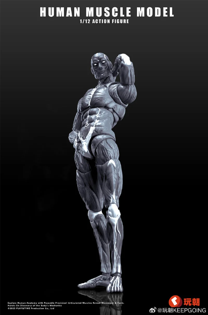2025 جديد 1/12 مقياس نموذج العضلات البشرية الترا مفصلية الجسم عمل الشكل جمع الديكور الحلي لعبة هدايا عيد الميلاد #5