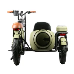 dual 48V 10\35AH super 73style Electric cargo bike electric motorcycle bicycle with 20 inch Fat Tire and side cart