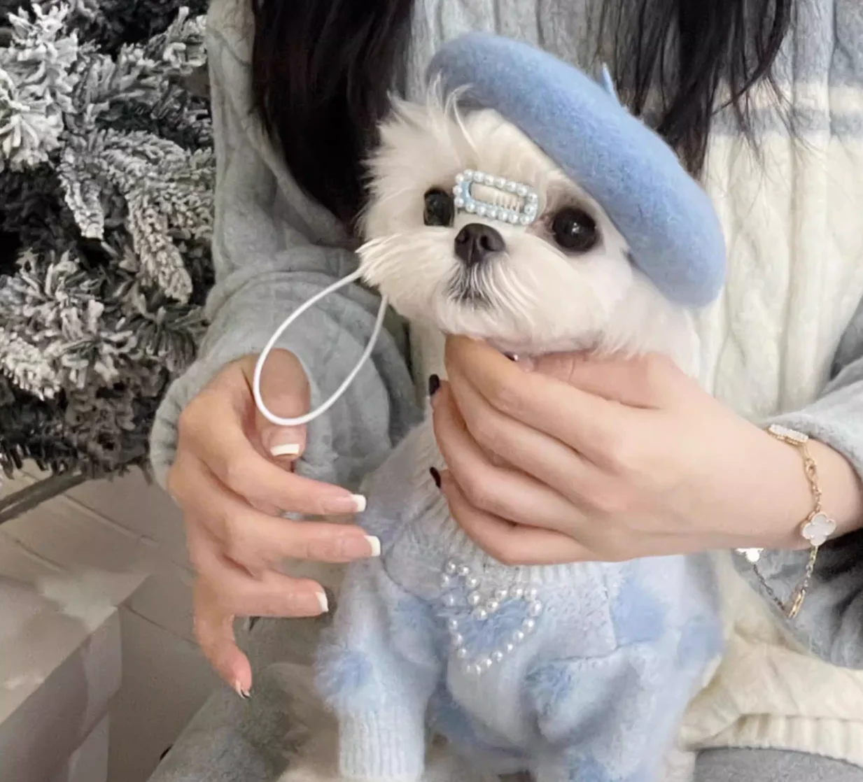 

Cute Pearl Heart Dog Sweater | Soft Fuzzy Knit Pet Apparel for Maltese, Yorkie & Pomeranian