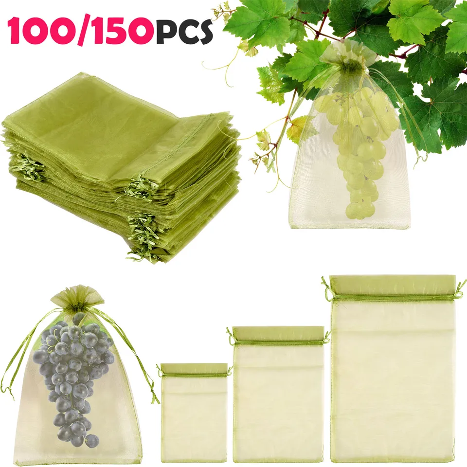 50pcs sacs de protection des fruits, 11 '' × 7,87 '' sacs de filet de